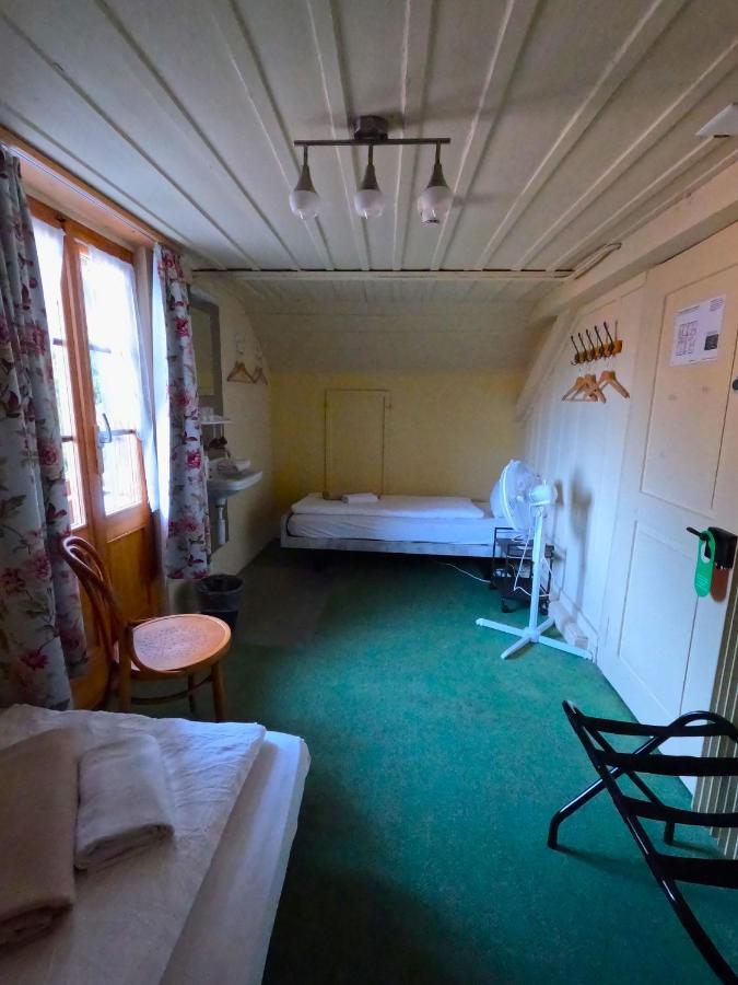 Edelweiss Lodge Wilderswil Eksteriør bilde