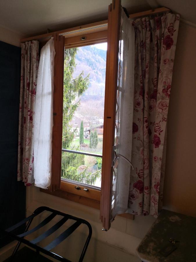 Edelweiss Lodge Wilderswil Eksteriør bilde