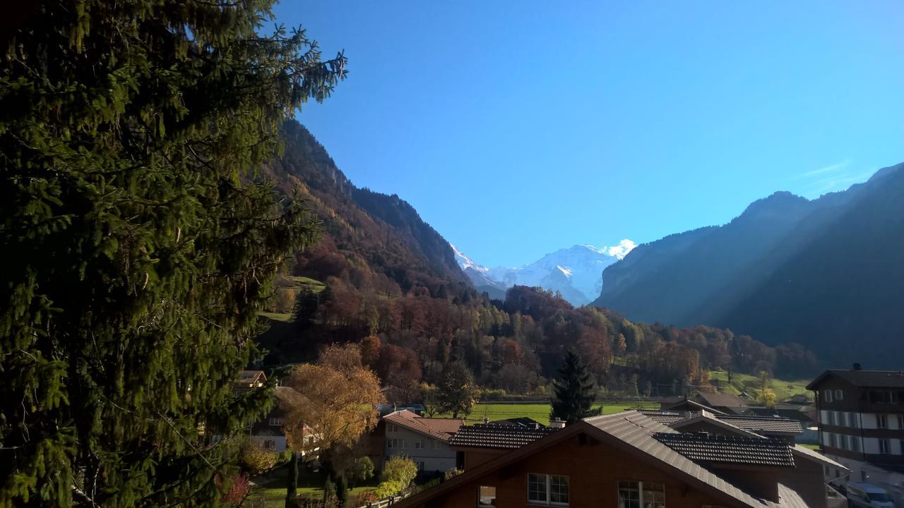 Edelweiss Lodge Wilderswil Rom bilde