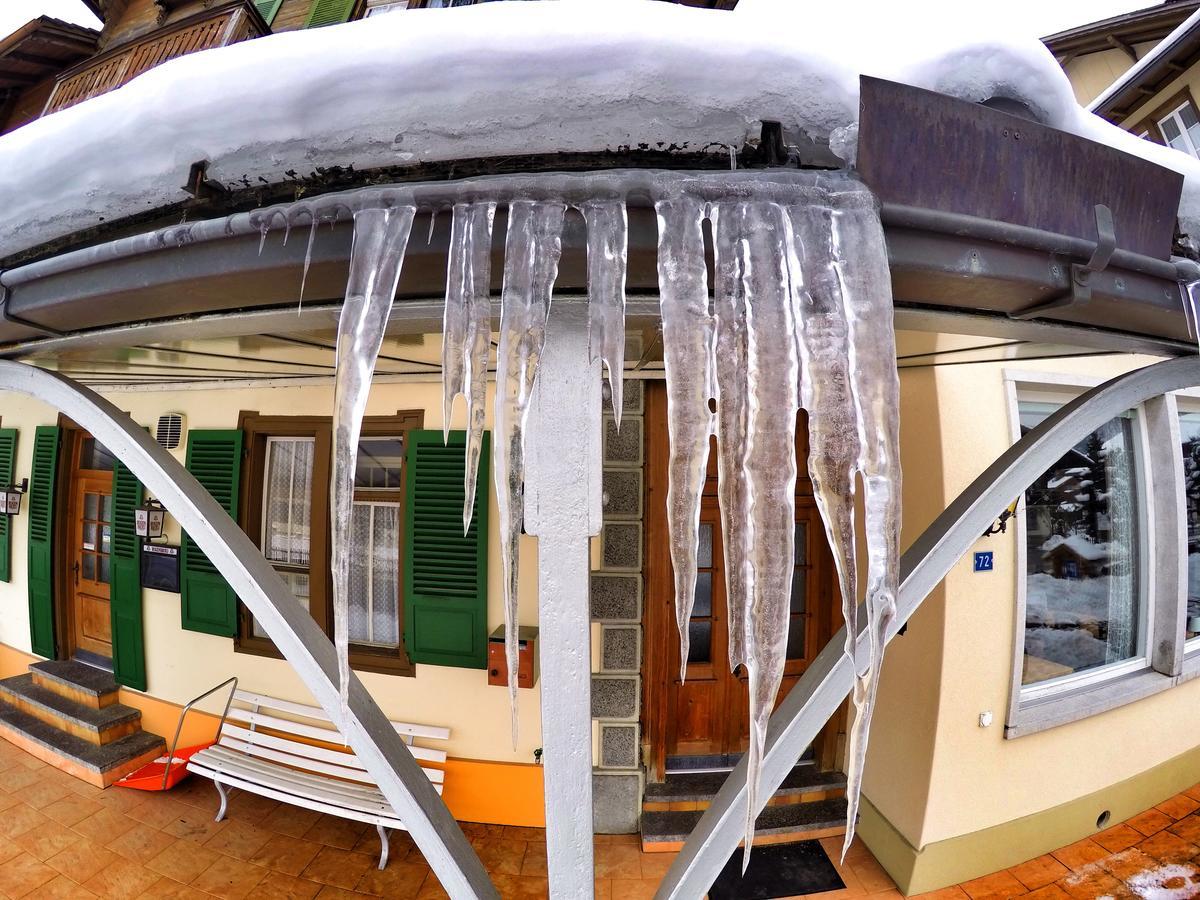 Edelweiss Lodge Wilderswil Eksteriør bilde