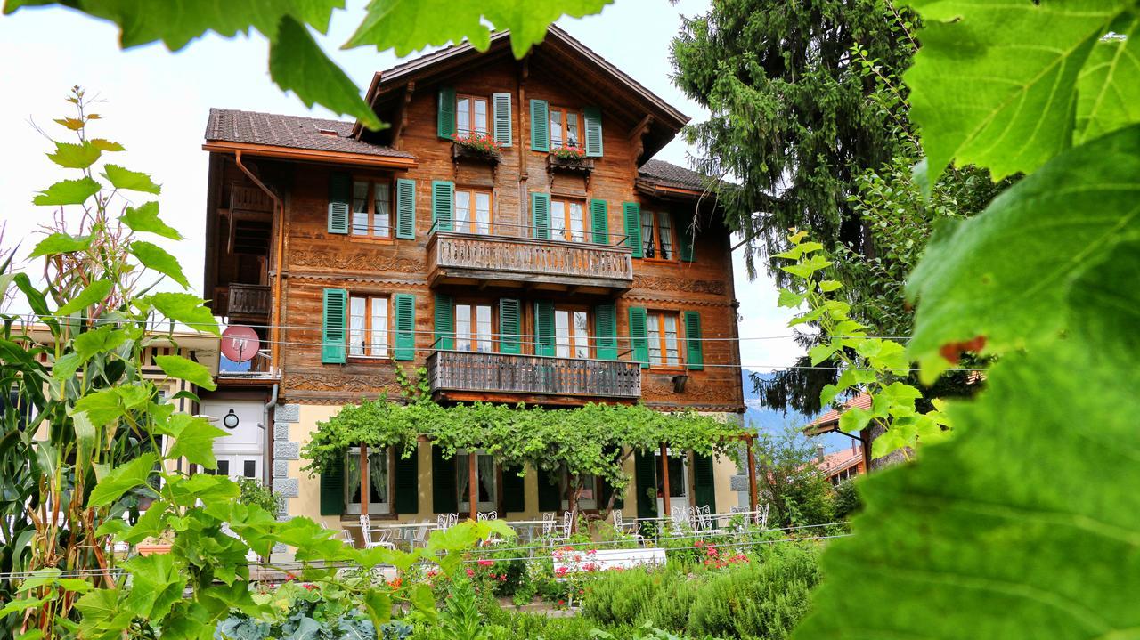 Edelweiss Lodge Wilderswil Eksteriør bilde