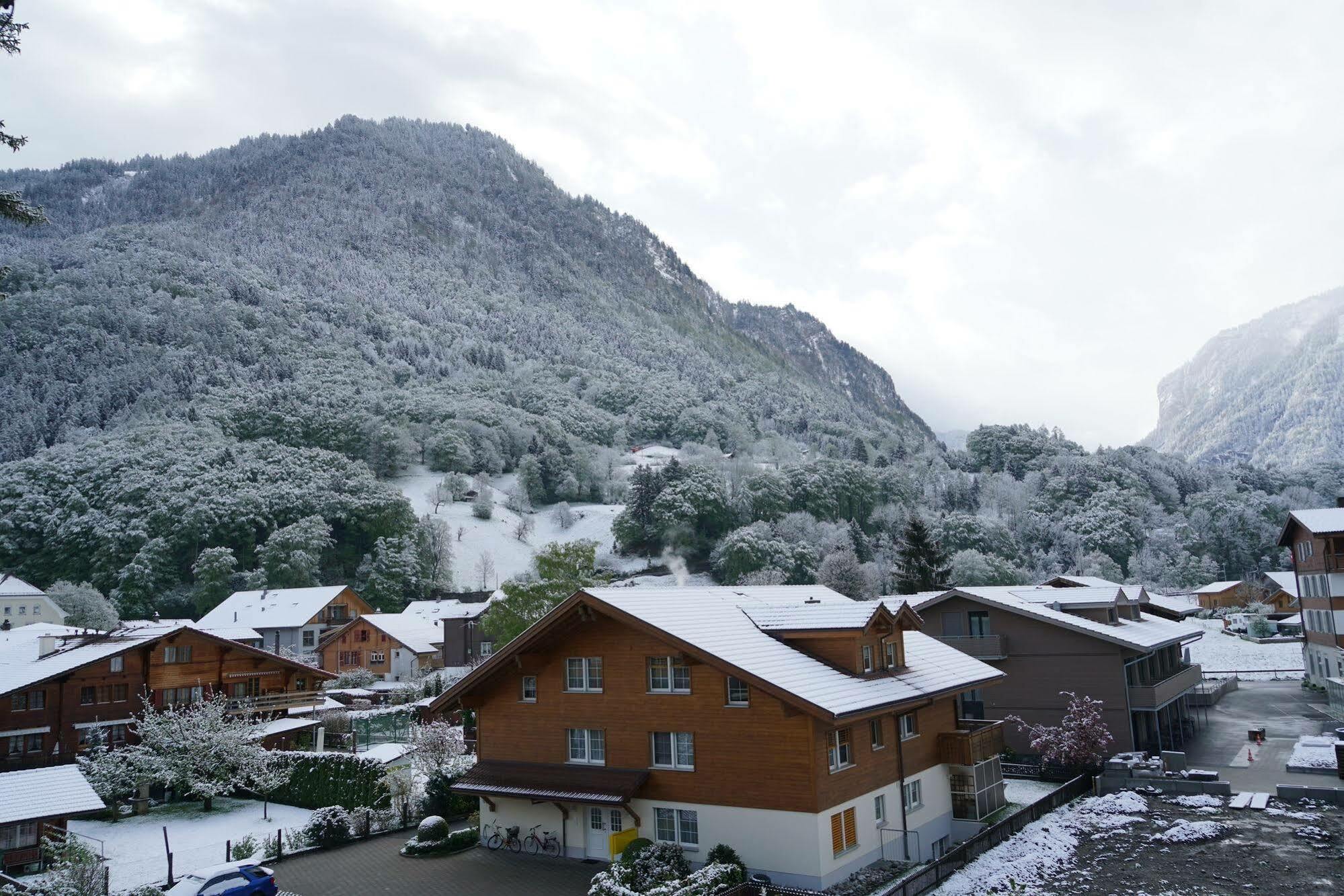 Edelweiss Lodge Wilderswil Eksteriør bilde