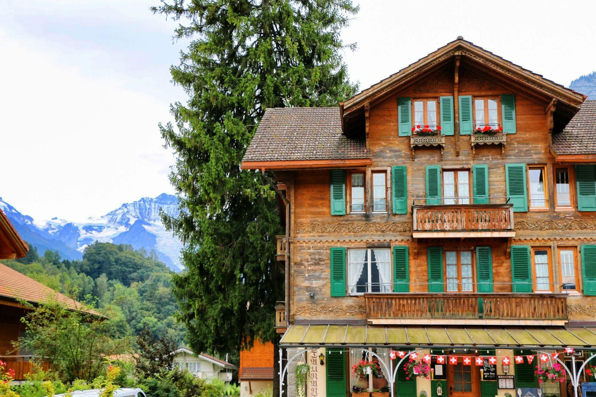 Edelweiss Lodge Wilderswil Eksteriør bilde