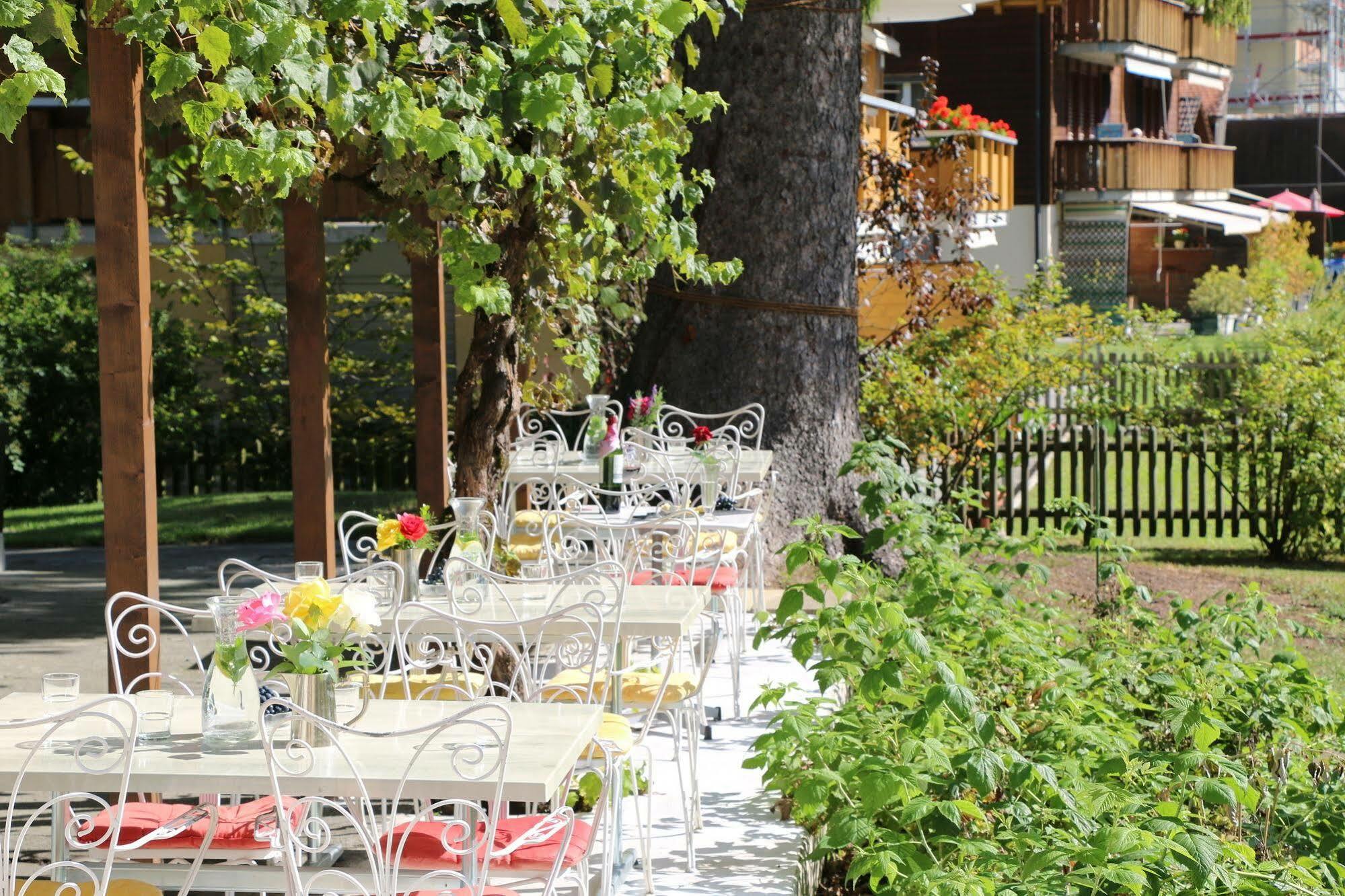 Edelweiss Lodge Wilderswil Eksteriør bilde
